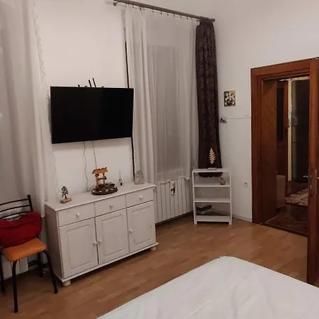 Cozy Apartment Sibiu